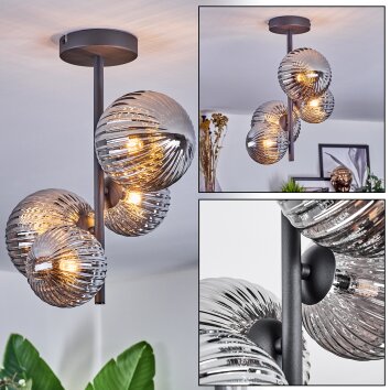 Chehalis Deckenleuchte Glas 12 cm, 15 cm Rauchfarben, 4-flammig Chehalis Deckenleuchte Glas 12 cm, 15 cm Rauchfarben, 4-flammig