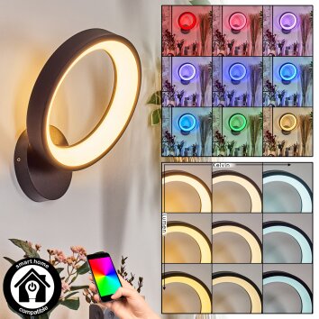 Delor Wandleuchte LED Schwarz, 1-flammig, Farbwechsler Delor Wandleuchte LED Schwarz, 1-flammig, Farbwechsler