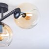 Koyoto Deckenleuchte Glas 15 cm Bernsteinfarben, Klar, 3-flammig