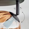 Koyoto Deckenleuchte Glas 15 cm Bernsteinfarben, Klar, 4-flammig