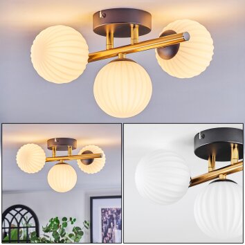 Chehalis Deckenleuchte Glas 10 cm Gold, Schwarz, 3-flammig