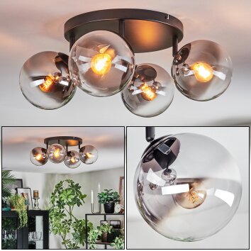 Gastor Deckenleuchte Glas 15 cm Klar, Rauchfarben, 4-flammig