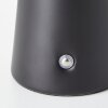 Brilliant Muffin Tischleuchte LED Schwarz, 1-flammig