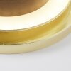 Brilliant Shadow Wandleuchte LED Gold, 1-flammig