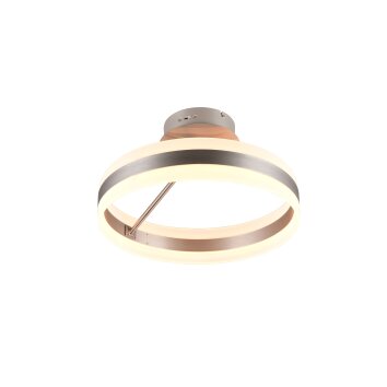 Trio Dios Deckenleuchte LED Nickel-Matt, 1-flammig