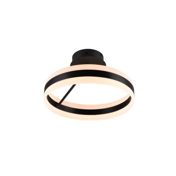 Trio Dios Deckenleuchte LED Schwarz, 1-flammig