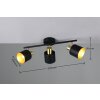 Trio Eva Deckenspot Schwarz-Gold, 3-flammig