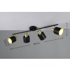Trio Eva Deckenspot Schwarz-Gold, 4-flammig