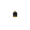 Trio Eva Deckenspot Schwarz-Gold, 1-flammig