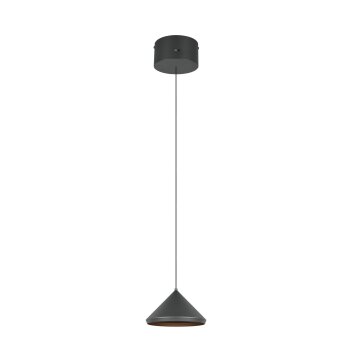 Trio Laguna Pendelleuchte LED Schwarz, 1-flammig