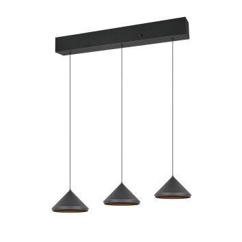 Trio Laguna Pendelleuchte LED Schwarz, 3-flammig