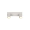 Trio Soka Deckenspot Grau, 2-flammig