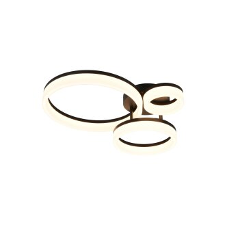 Reality Scope Deckenleuchte LED Schwarz, 1-flammig