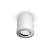 Philips Hue White Ambience Pillar Deckenleuchte Weiß, 1-flammig