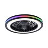 Just Light BRANDON Deckenleuchte LED Schwarz, 2-flammig, Fernbedienung, Farbwechsler