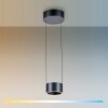 Paul Neuhaus PURE Clipse Pendelleuchte LED Grau, 2-flammig, Fernbedienung