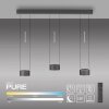 Paul Neuhaus PURE Clipse Pendelleuchte LED Grau, 6-flammig, Fernbedienung