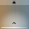 Paul Neuhaus PURE Falling Rings Pendelleuchte LED Schwarz, Transparent, Klar, 1-flammig, Fernbedienung
