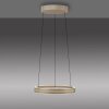 Paul Neuhaus PURE E-Loop Pendelleuchte LED Bronze, 2-flammig, Fernbedienung
