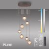 Paul Neuhaus PURE Popup Pendelleuchte LED Bronze, 7-flammig, Fernbedienung