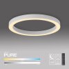 Paul Neuhaus PURE Lines Round Deckenleuchte LED Weiß, 1-flammig, Fernbedienung