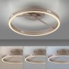 Paul Neuhaus PURE Loop Deckenleuchte LED Bronze, 2-flammig, Fernbedienung