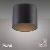 Paul Neuhaus PURE Point Deckenleuchte LED Schwarz, 1-flammig