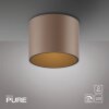 Paul Neuhaus PURE Point Deckenleuchte LED Bronze, 1-flammig