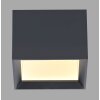 Paul Neuhaus PURE Manhattan Deckenleuchte LED Grau, 1-flammig, Fernbedienung