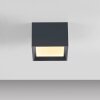 Paul Neuhaus PURE Manhattan Deckenleuchte LED Grau, 1-flammig, Fernbedienung