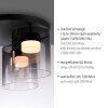 JUST LIGHT ELIO Deckenleuchte LED Schwarz, 3-flammig