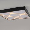 JUST LIGHT MIKADO Deckenleuchte LED Schwarz, 1-flammig
