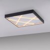 JUST LIGHT MIKADO Deckenleuchte LED Schwarz, 1-flammig