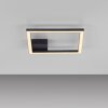 JUST LIGHT IVEN Deckenleuchte LED Schwarz, 1-flammig
