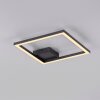 JUST LIGHT IVEN Deckenleuchte LED Schwarz, 1-flammig