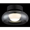 Globo Carlene Deckenleuchte LED Schwarz, 1-flammig