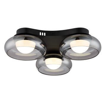 Globo Carlene Deckenleuchte LED Schwarz, 1-flammig