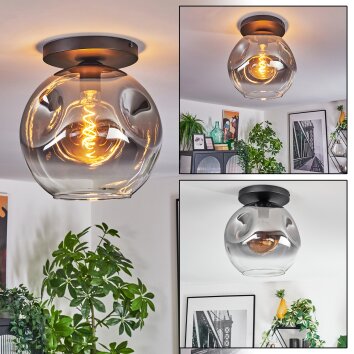 Ripoll Deckenleuchte Glas 30 cm Klar, Rauchfarben, 1-flammig