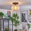 Ripoll Deckenleuchte Glas 30 cm Klar, 1-flammig