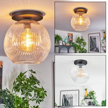 Ripoll Deckenleuchte Glas 30 cm Klar, 1-flammig