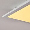 Nexo Deckenpanel LED Weiß, 1-flammig, Fernbedienung