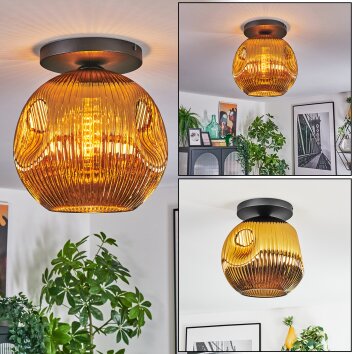 Ripoll Deckenleuchte Glas 30 cm Gold, 1-flammig