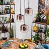 Lauden Hängeleuchte Glas 20 cm Klar, Kupferfarben, 3-flammig