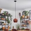 Koyoto Hängeleuchte Glas 25 cm Kupferfarben, 1-flammig