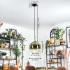 Koyoto Hängeleuchte Glas 30 cm Grün, Klar, 1-flammig