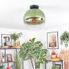 Koyoto Deckenleuchte Glas 30 cm Grün, Klar, 1-flammig