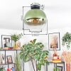 Koyoto Deckenleuchte Glas 30 cm Grün, Klar, 1-flammig