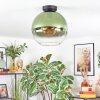 Koyoto Deckenleuchte Glas 30 cm Grün, Klar, 1-flammig