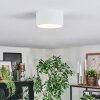 Falor Deckenleuchte LED Weiß, 1-flammig