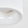 Falor Deckenleuchte LED Weiß, 1-flammig